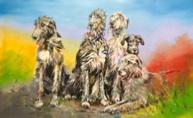 + 4 CHIENS ...